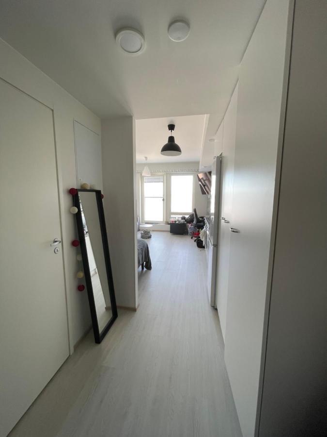 Arctic Penthouse Studio With Free Parking And High-Speed Wi-Fi Rovaniemi Bagian luar foto