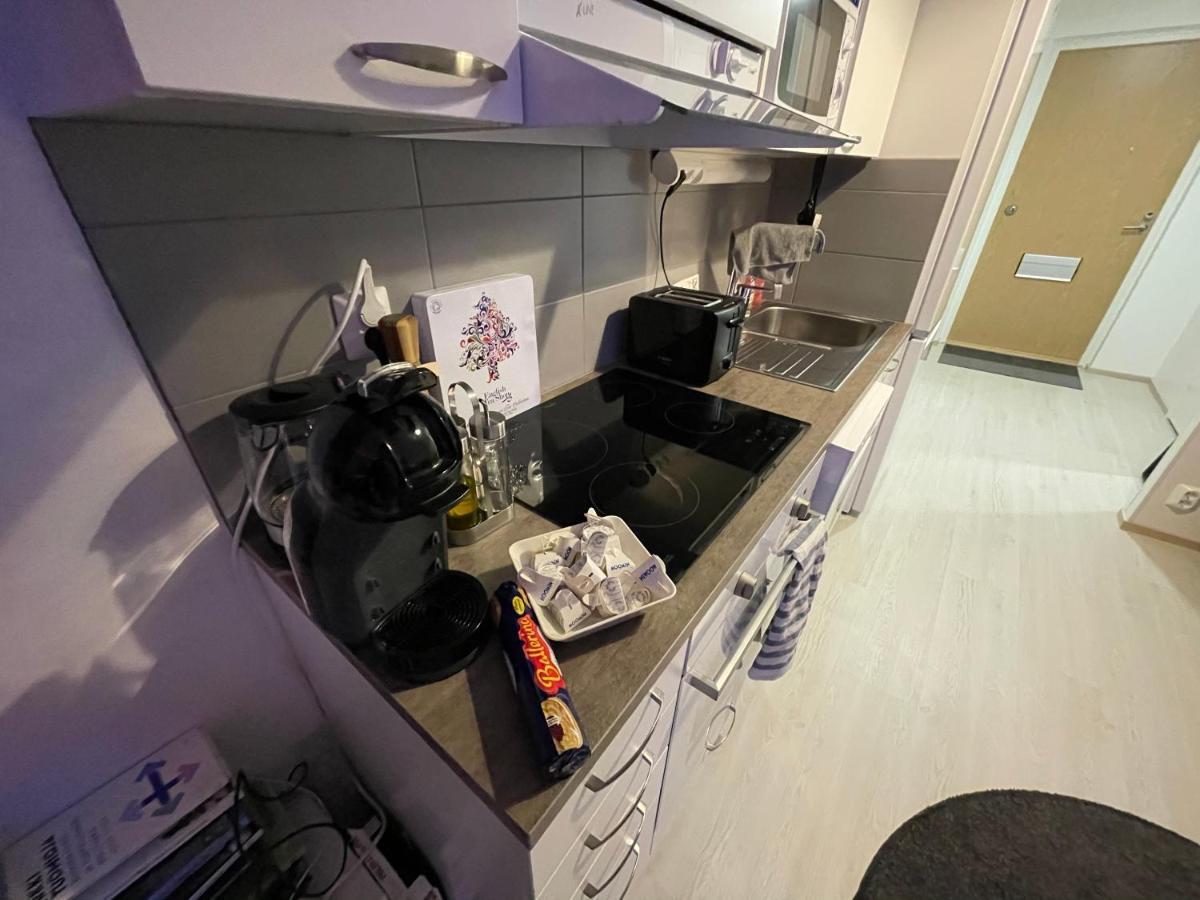 Arctic Penthouse Studio With Free Parking And High-Speed Wi-Fi Rovaniemi Bagian luar foto